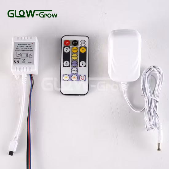 luces de tira duales del color de la MAZORCA de 320LEDs/M DC24V CCT 2700K
