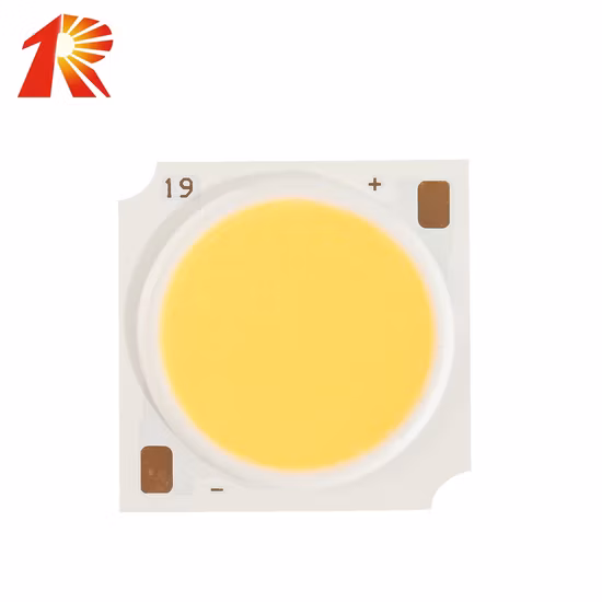 Downlight LED portátil Nuevo Down Light Montado en superficie Empotrable Antideslumbrante GU10 Techo Hotel Vivienda Ajustable COB Slim LED Downlight para el hogar, oficina, tiendas
