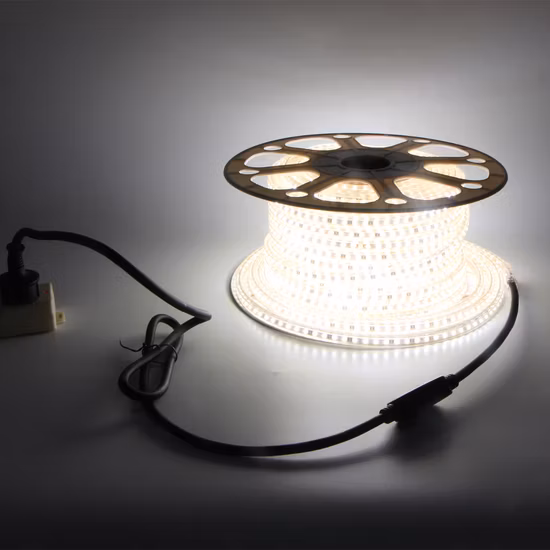 AC110V AC220V SMD2835 AC230V exterior decoración impermeable Ce IP65 luces de tira LED