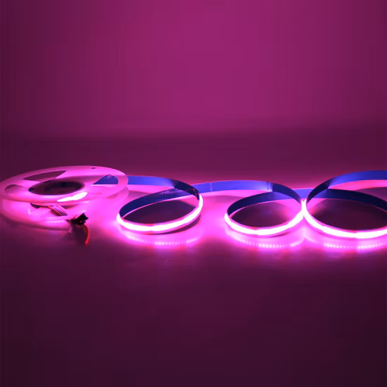 Tira de luces LED COB RGB cambiable CCT Csp de 12V Dotsfree personalizada