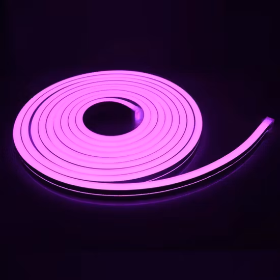 IP65 Cuerda LED Tira de neón flexible Iluminación LED Tubo flexible de luz de neón para decoración de fachadas con 3 años de garantía