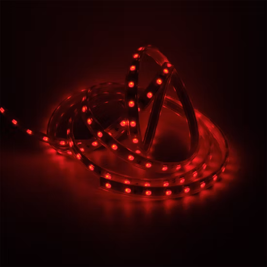 CE RoHS DC24 840LEDs/M 10mm PCB 12W Csp Tira de LED RGB